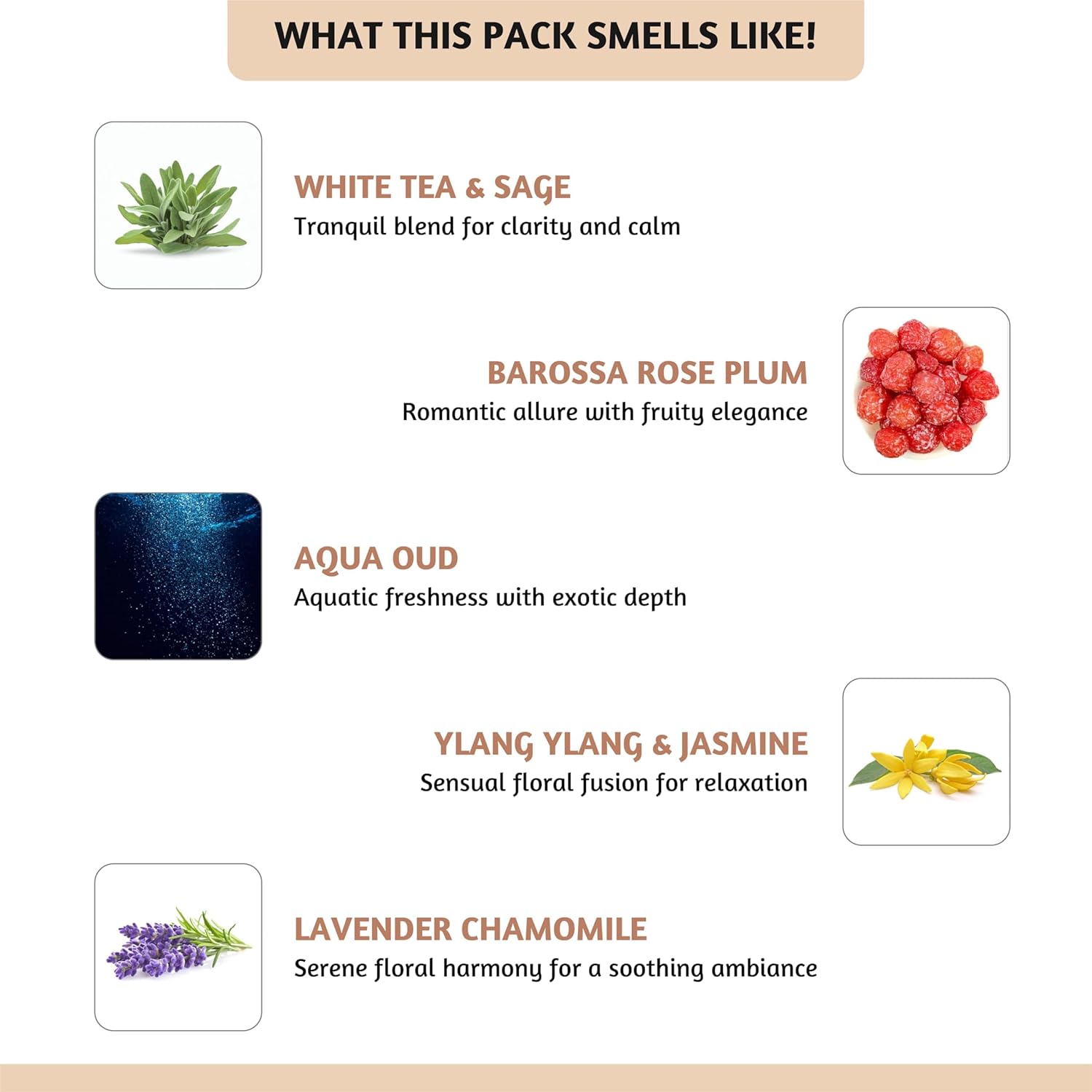 Folkulture Pack of 5, 30 Wax Melts - Sleep 2.0